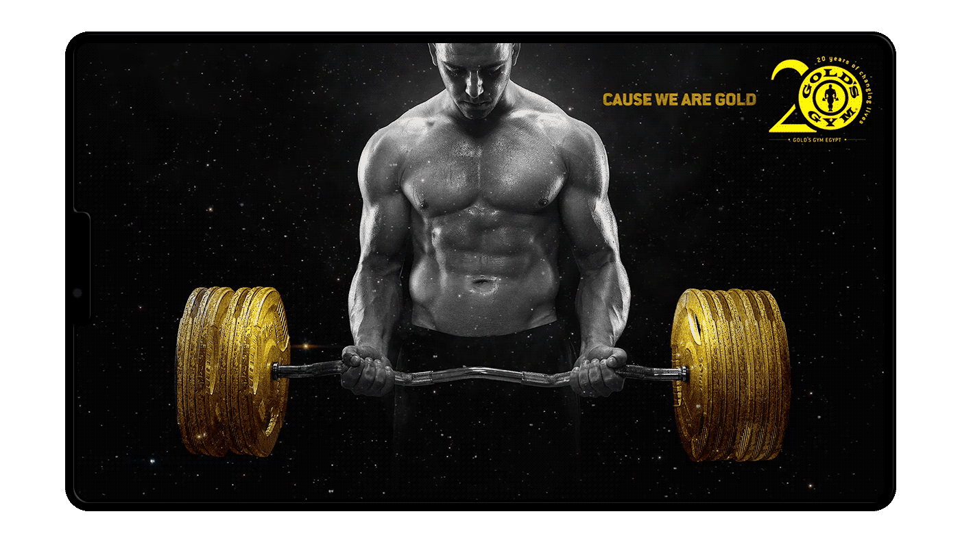 golds gold's gym egypt Cause we are gold