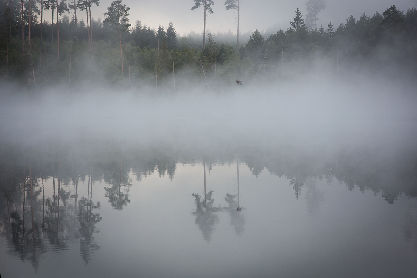 fog Landscape lietuva lithuania Mindaugas Buivydas mist Nature