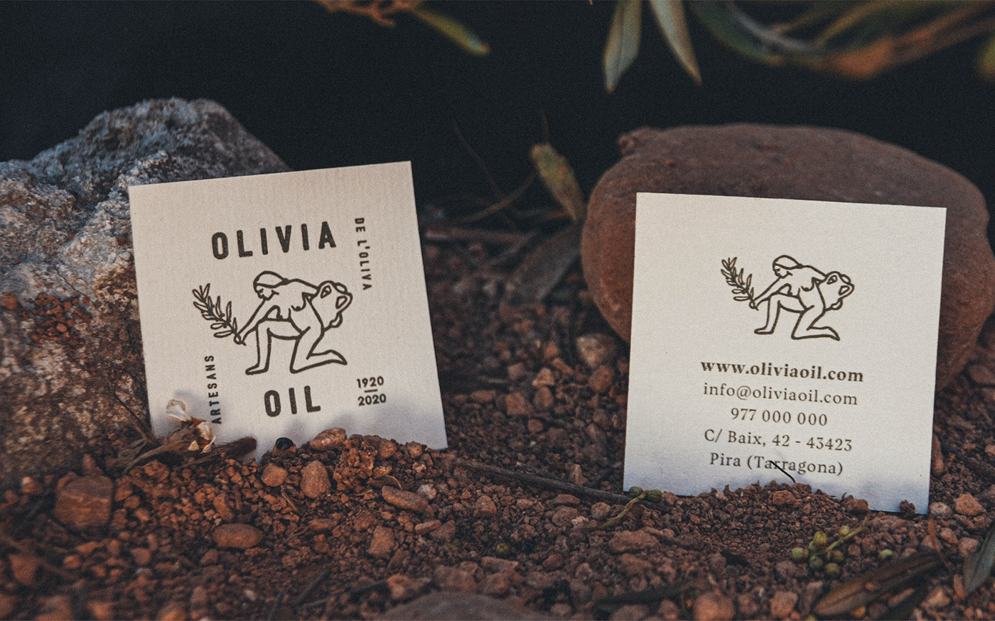 aceite brand branding  handmade identity logo mediterranean oil olive Packaging