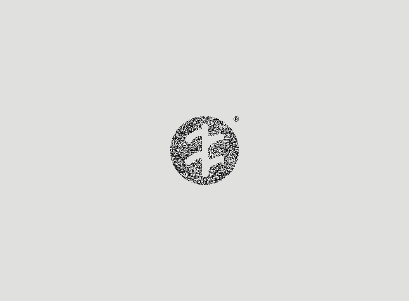 typography   Layout ILLUSTRATION  identity minimal Web digital lettering simple Logotype
