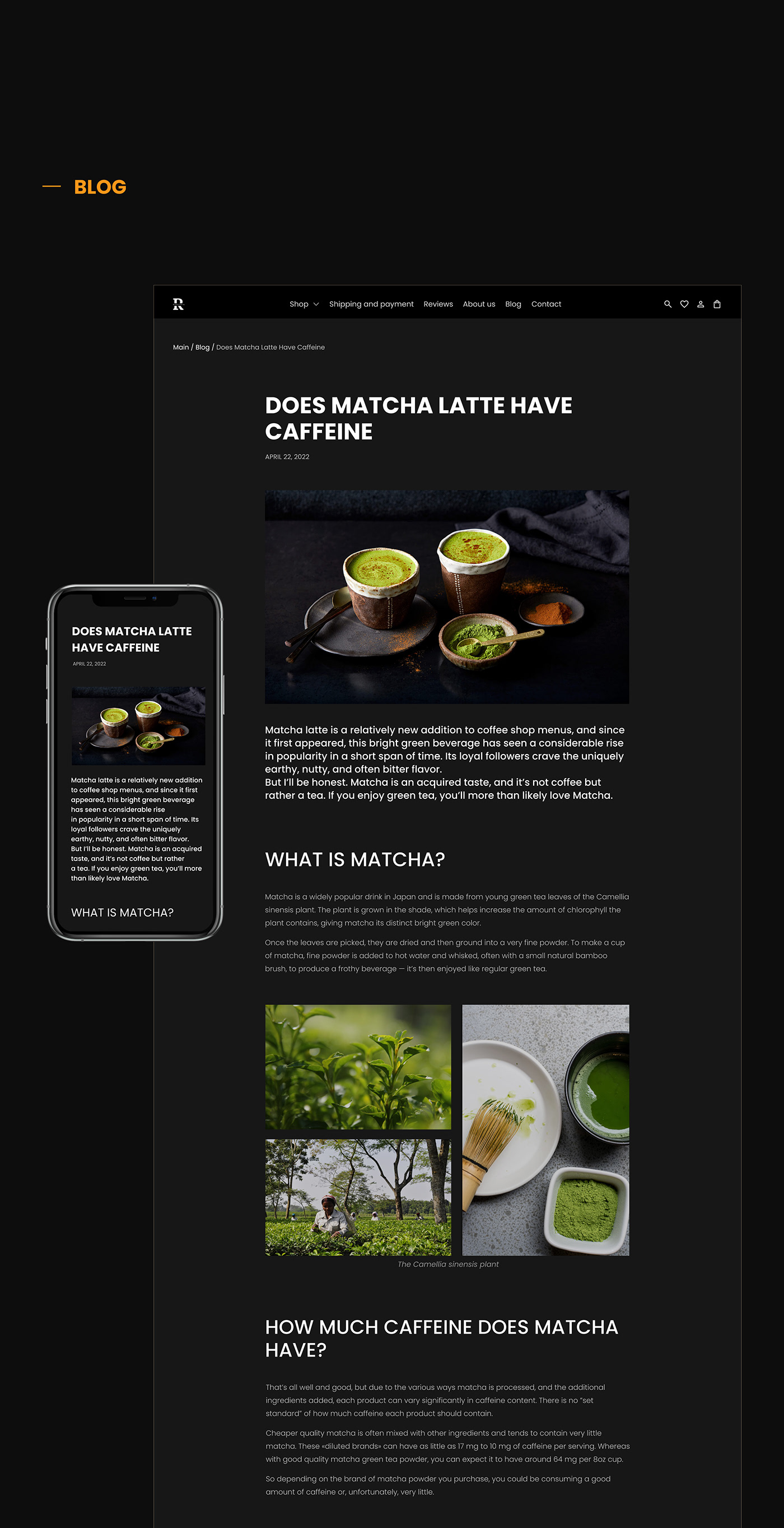 Coffee coffee shop Figma Web Design  store ux/ui Website user experience app design Web