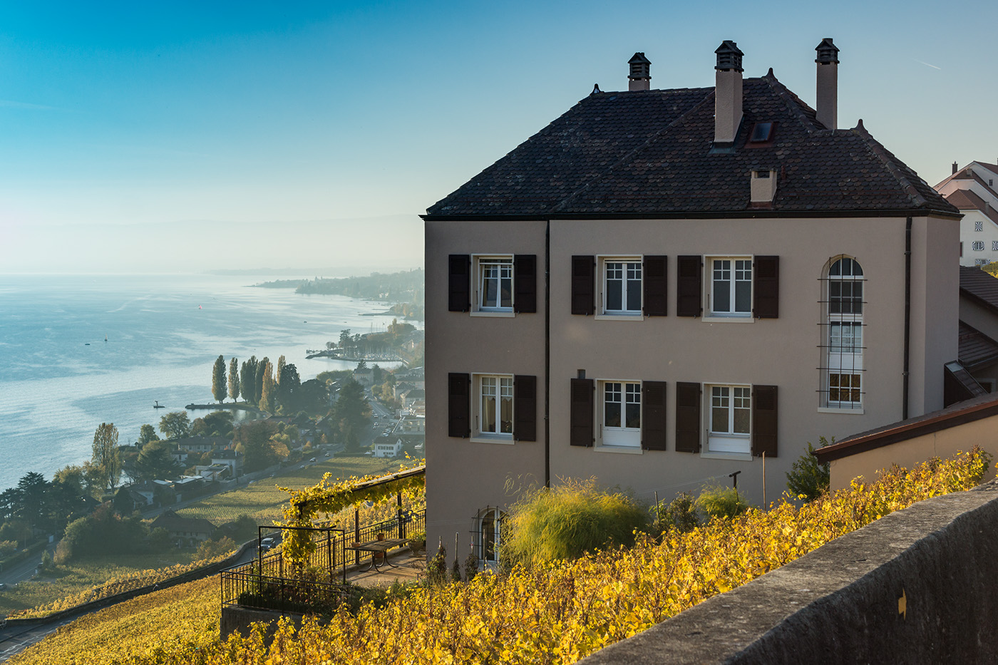 photo shoot photo vineyard Photography  lavaux Switzerland Fall