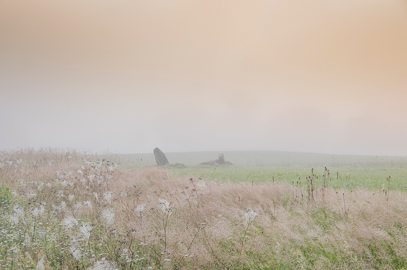 field fog horse Landscape MORNING pink serene summer