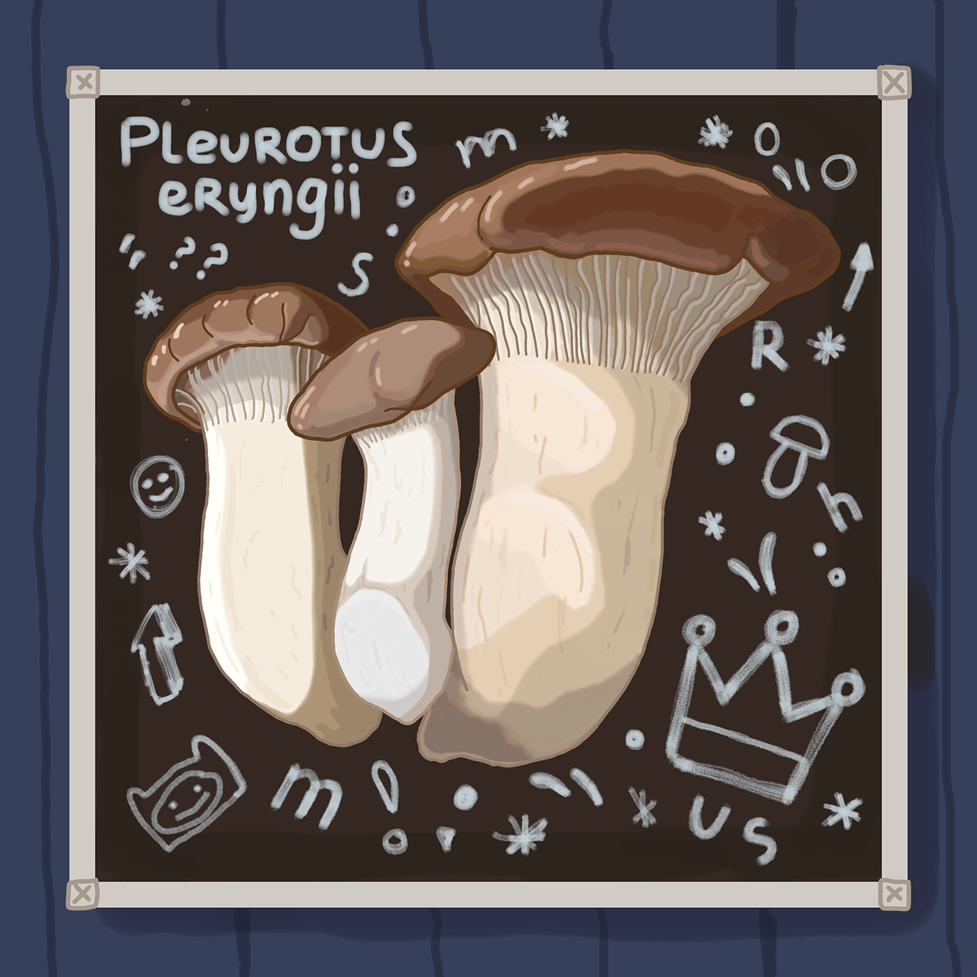 1000 illustrations Digital Art  Mushrooms