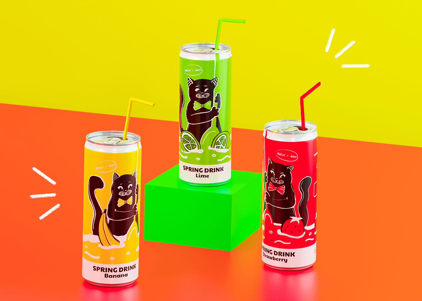 Can Design Can Packaging cat design ILLUSTRATION  juice package design  Spring Drink fruits identity soda can