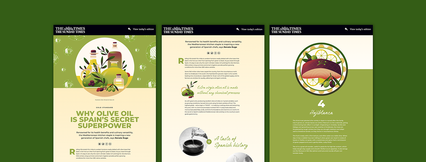 cooking editorial Food  green ILLUSTRATION  Illustrator minimal Olive Oil recipe vector