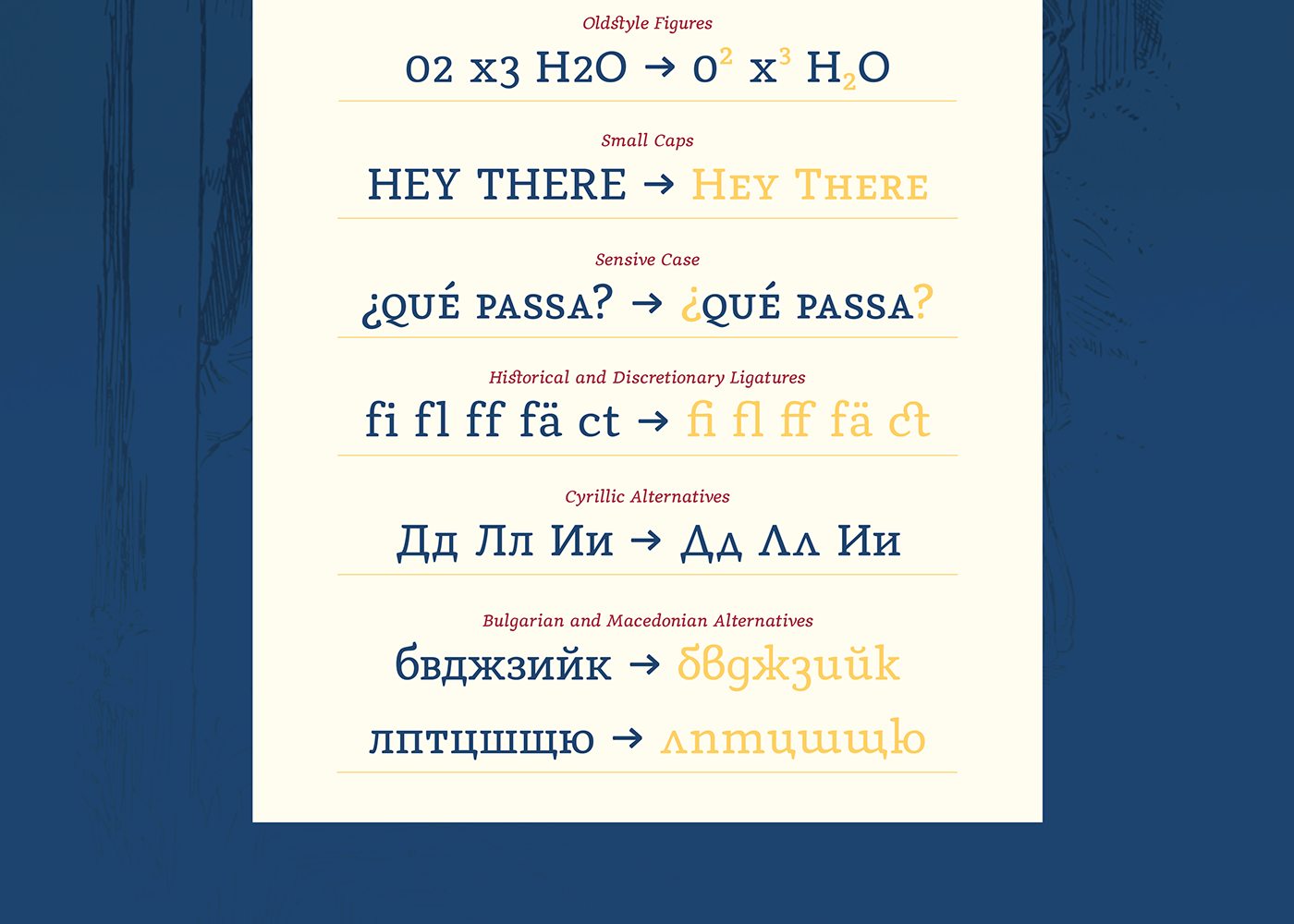Typeface typography   type font tipografia Tipos Latinos TipoLatinos serifa texto