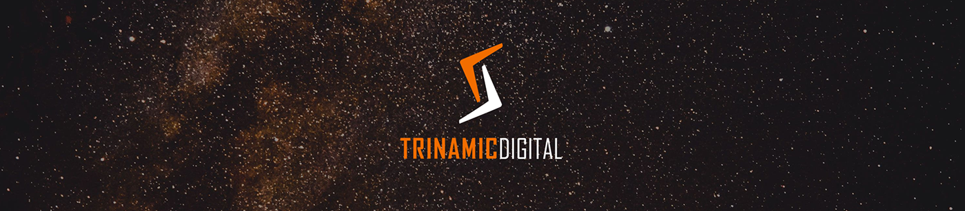 Responsive tech company Website Concrete5 Web Design  Trinamic Digital Jordan Santaga html5