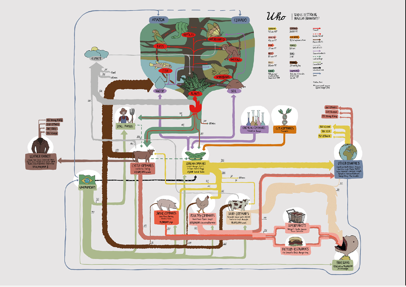 infographic  design  visual density graph  climate change  palm oil  Biodiversity