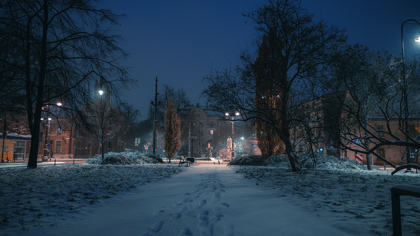 street photography krakow city Photography  poland Europe winter snow trees