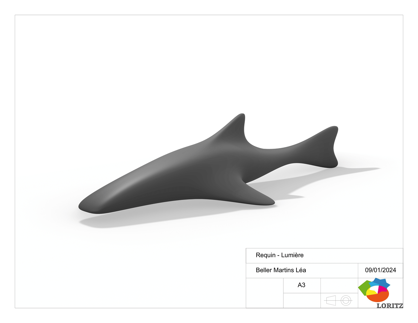 3d modeling Rhino 3D modeling texturing