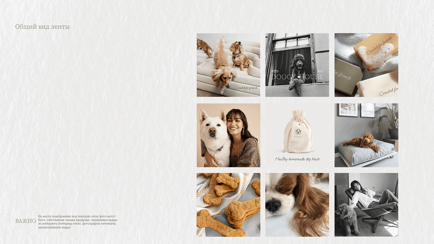 animal house brand identity designer dog Doghouse dogs hotel pethouse pets Social media post