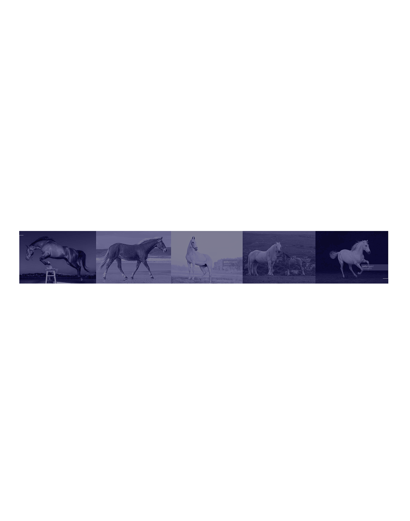 One-line horses continuous line line art minimal line illustration single line animal Nature stance