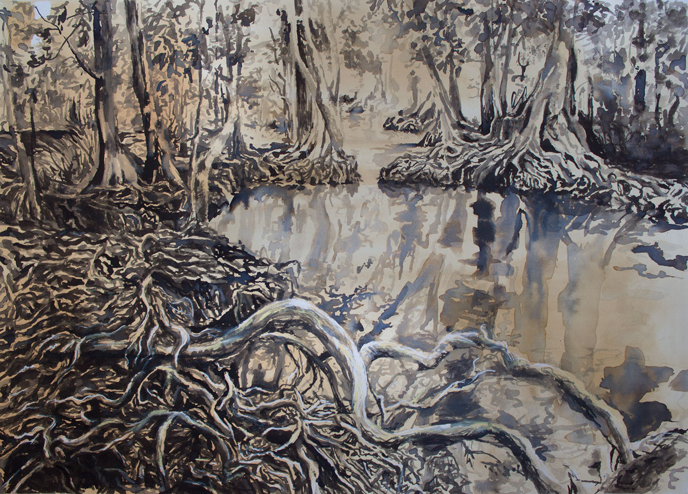 mangrove forest water roots trees Refelctions ink wash