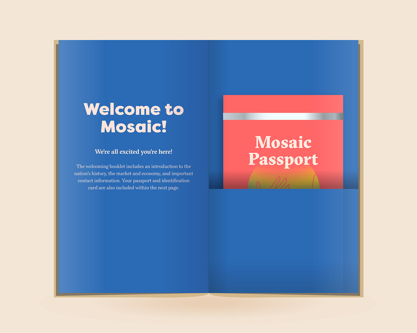 graphic design  book Booklet currency nation branding  identity ILLUSTRATION  refugee happiness