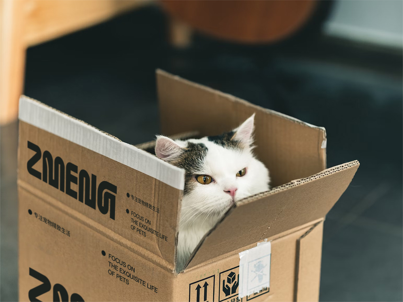 덱스 광고카피 Brand Design pet packaging Pet Cat Cat Litter