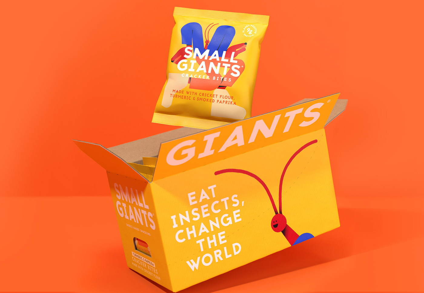 branding  characters colorful Cricket ILLUSTRATION  insect Packaging protein Sustainable weird