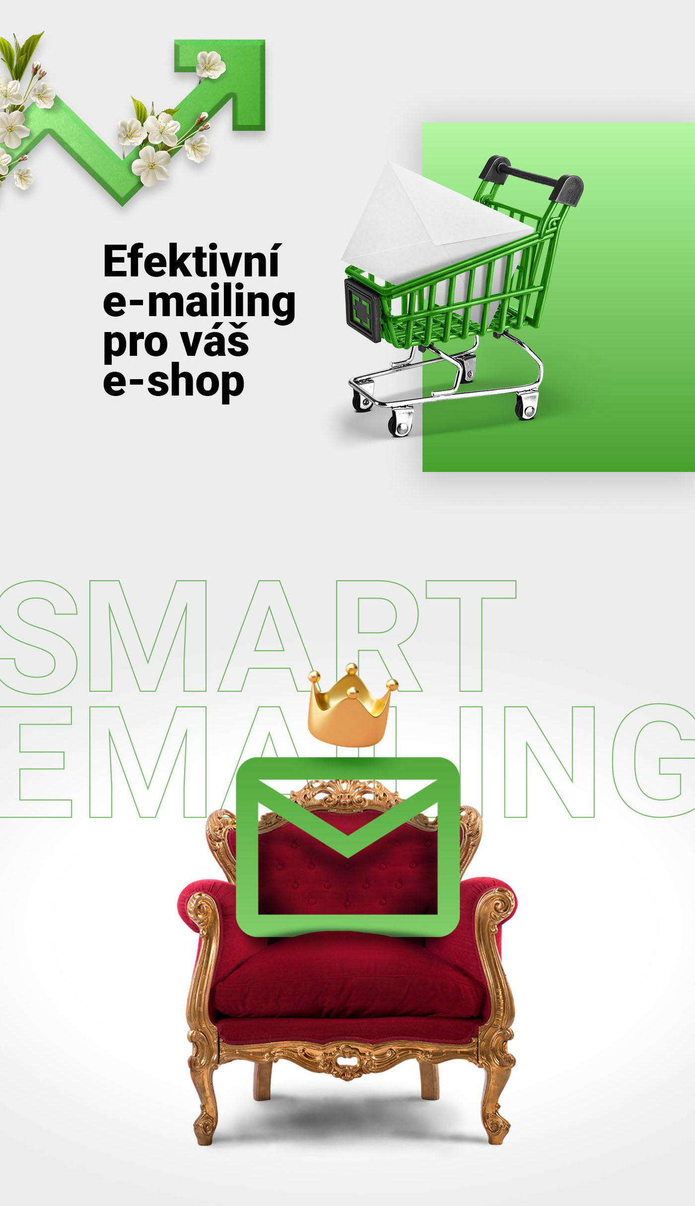 animation  e-mail emailing icons lottie  prints Social Site Webdesign