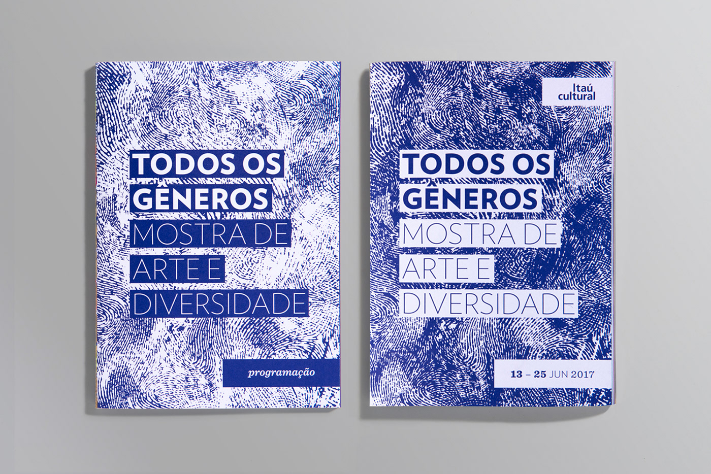 graphic design  Inezita Barroso book Miolo editorial design 
