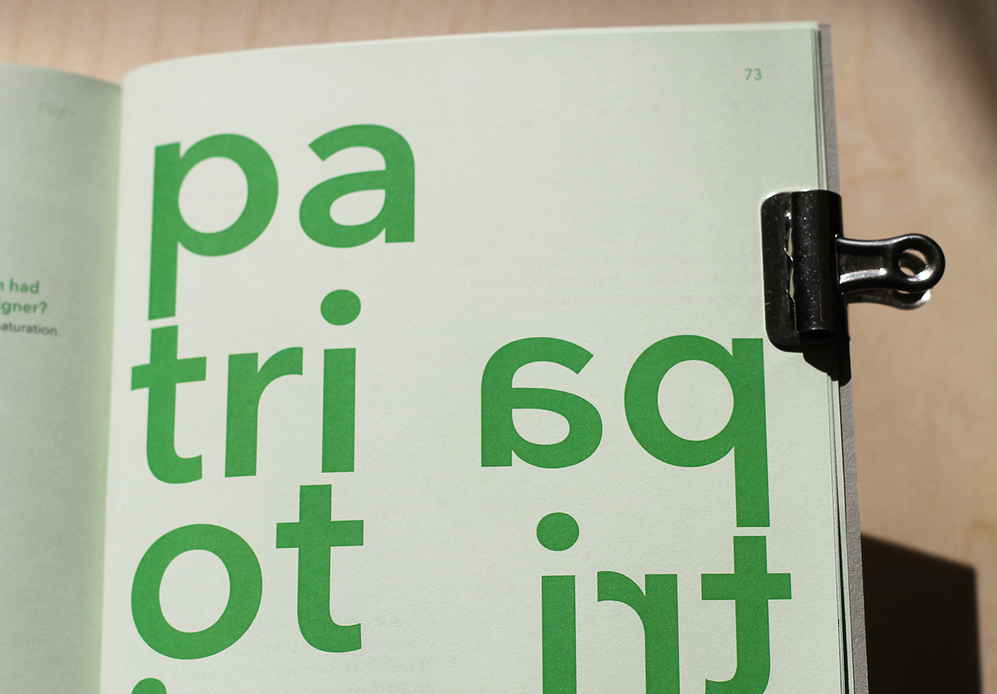 typography   Bookdesign print graphicdesign