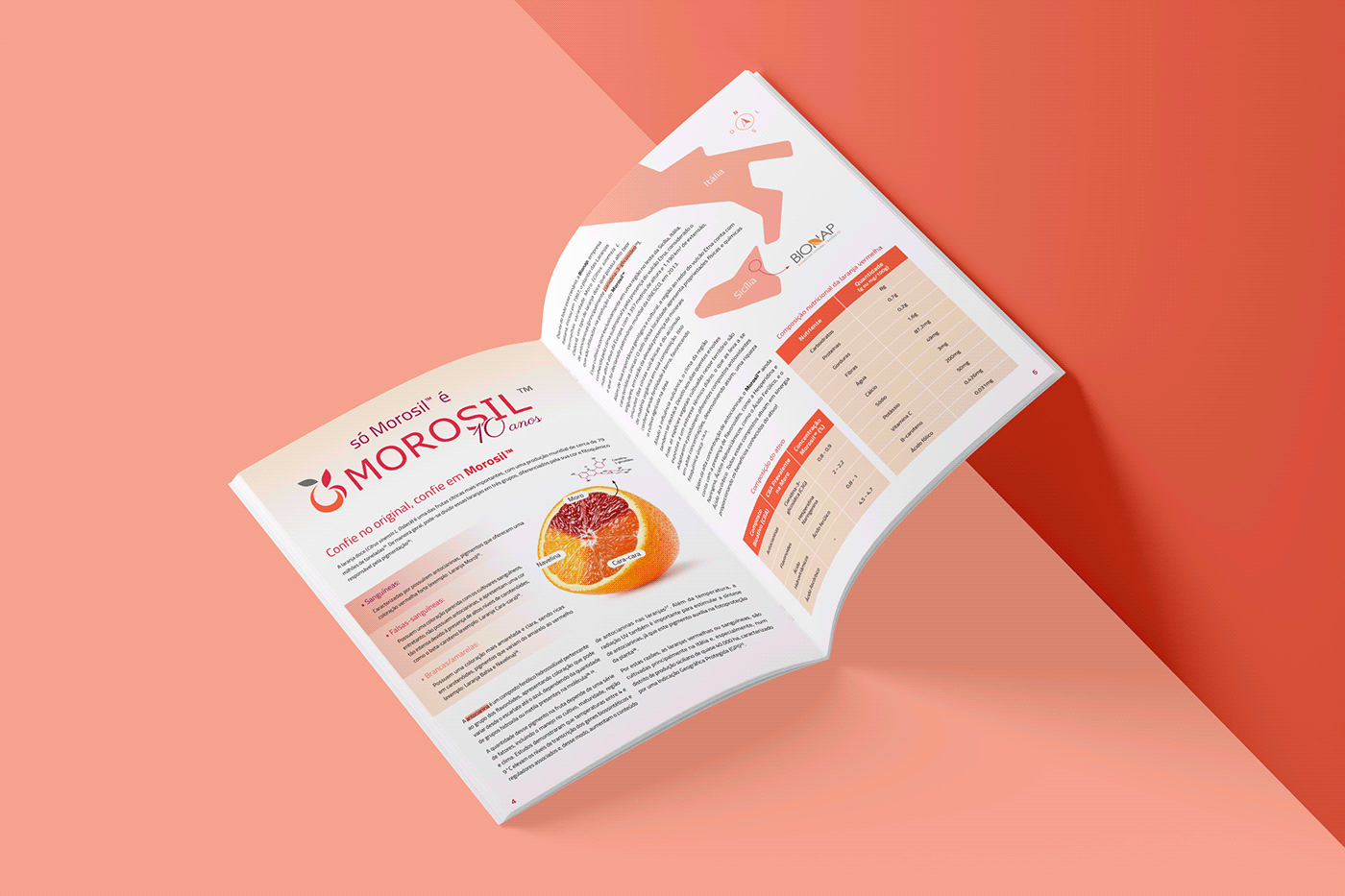 magazine Layout brochure Mockup pharmacy nutraceuticals Weight loss weight infographic morosil