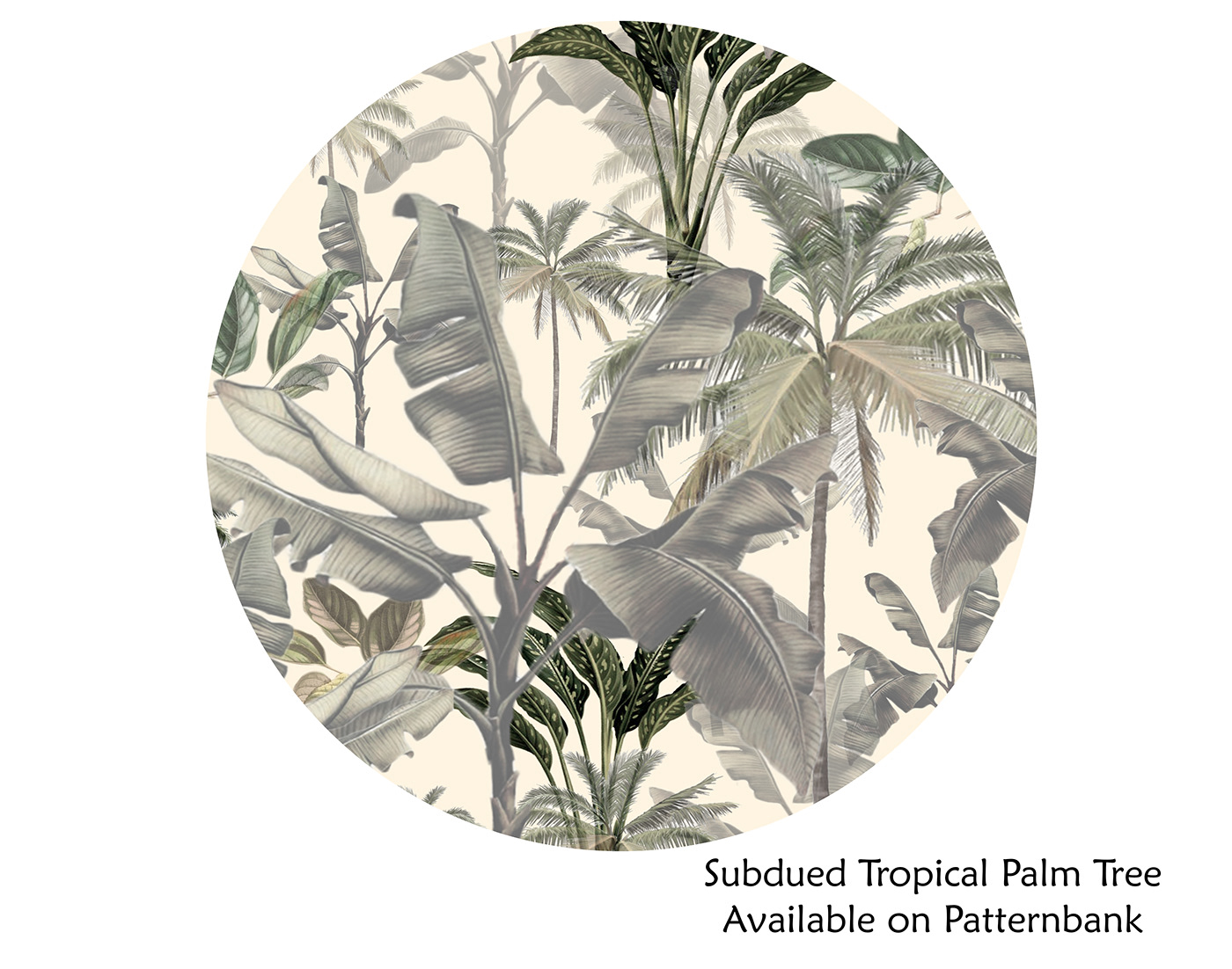 #PALM #patternbank #subdued #tree #tropical  