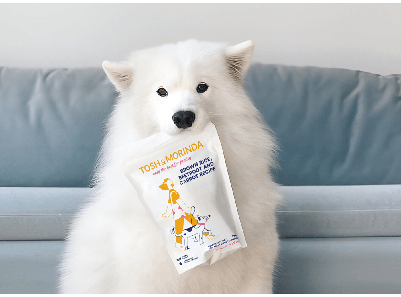 dog food Packaging Pet branding  Graphic Designer dog brand dog illustration brand identity dog food packaging