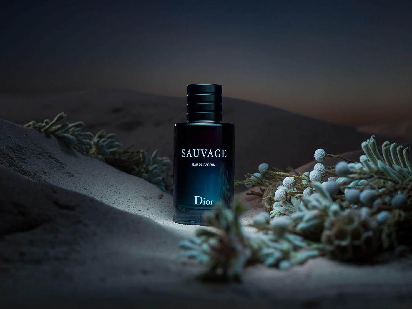 Dior perfume product editorial Landscape still life desert Jonathan Knowles
