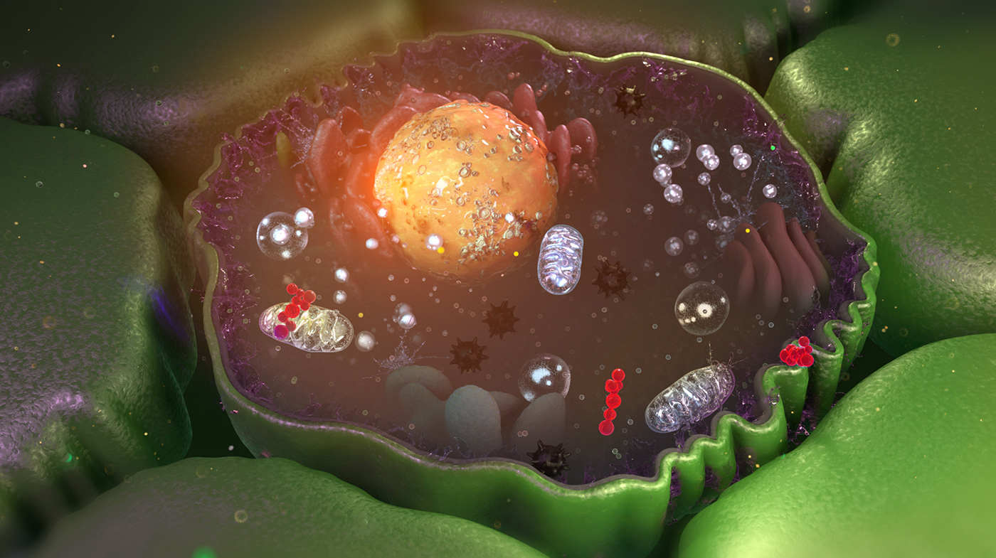 3D c4d Cell CGI cinema 4d medical medical illustration medicine redshift x-particles