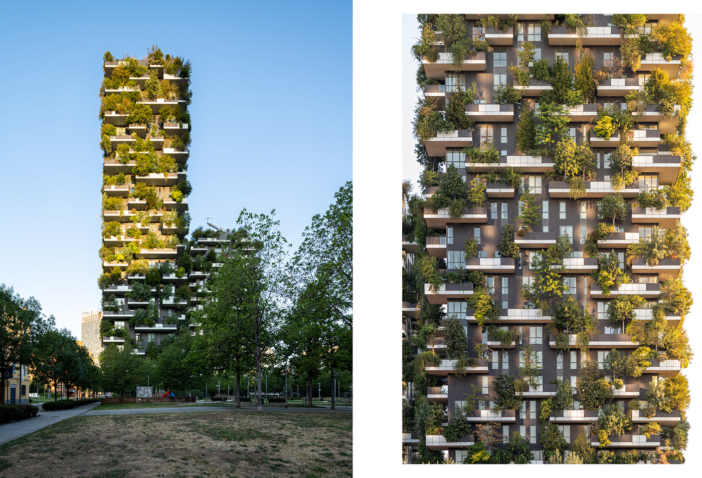 architecture milano Italy Photography  photographer lightroom photoshoot boscoverticale modernarchitecture verticalforest
