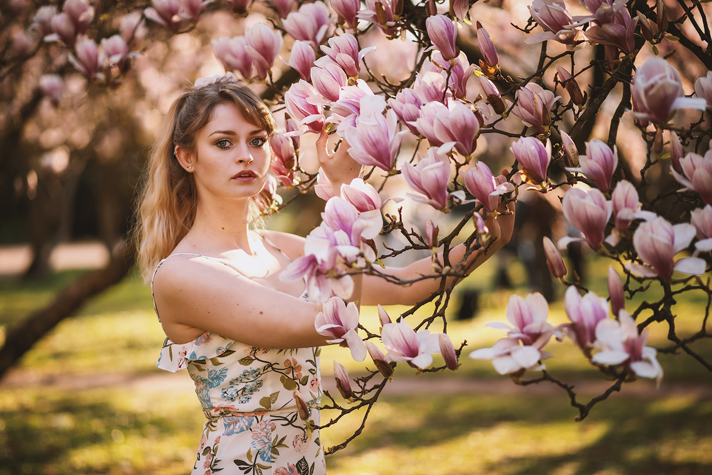 spring magnolia blossoms blooming model Beautiful available light aschaffenburg Nature
