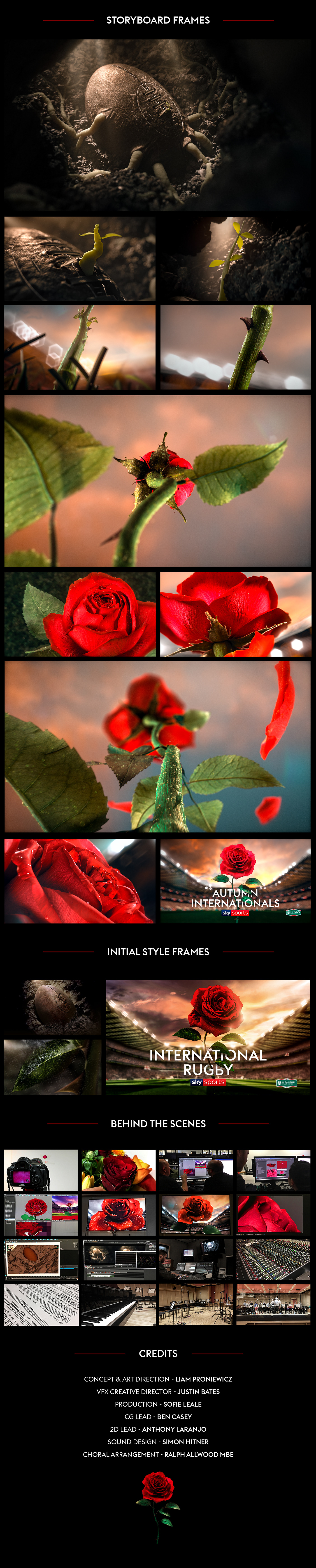 England Rugby Rugby Sky Sports rose autumn internationals Twickenham title sequence titles Film   CGI
