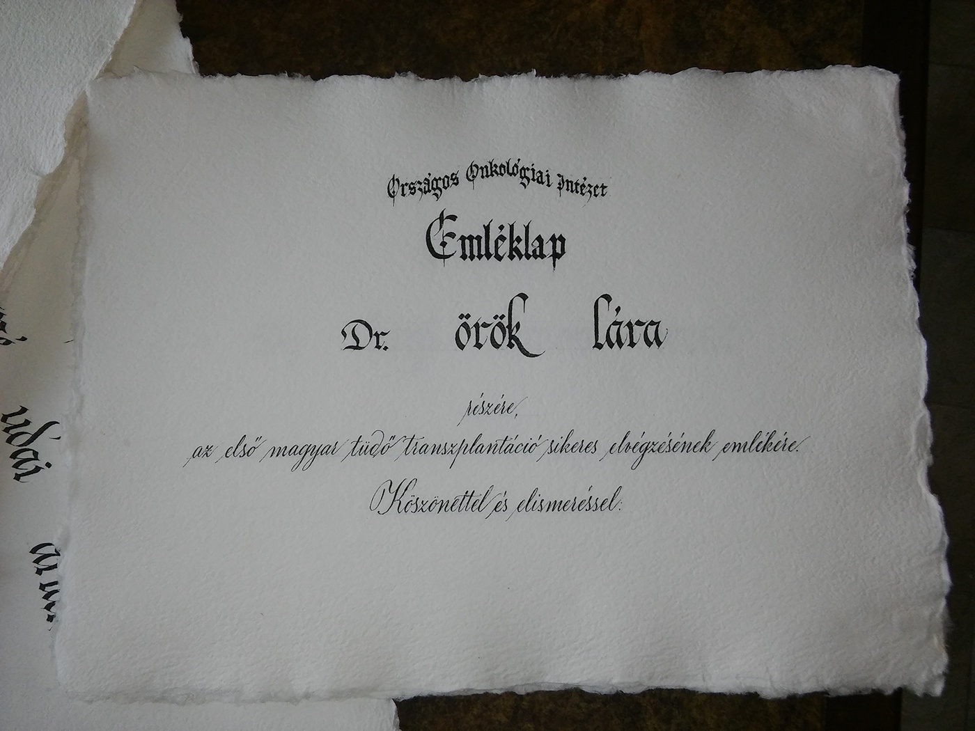 Calligraphy   handwriting copperplate Fraktur gothic memorialcertificate buzoganyd scriptoriumtremens