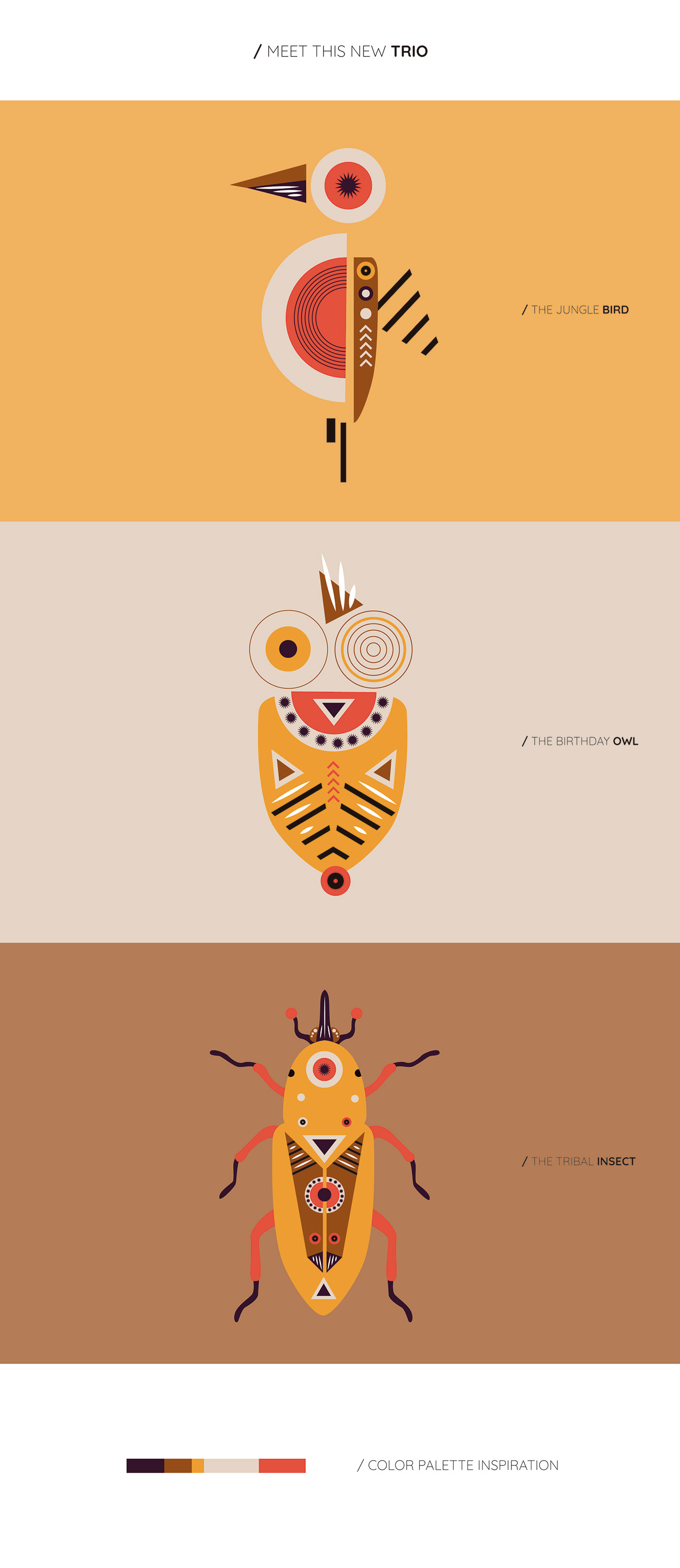 bird buho Character design insectos Insects owl pajaro personajes