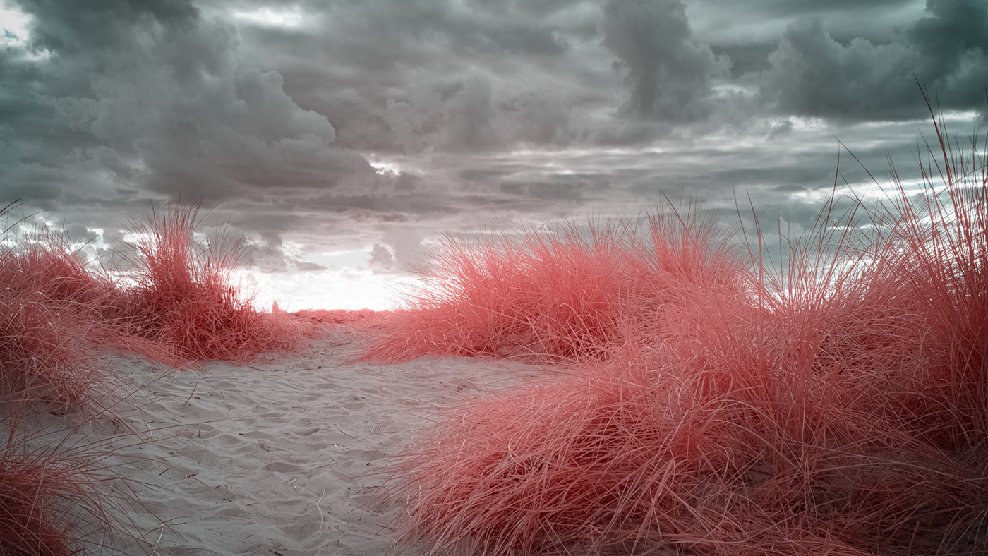 fujifilm infrared IR Landscape lightroom Nature Photography  X-T20