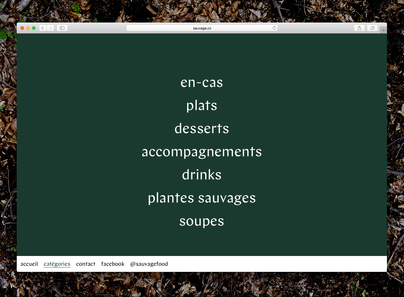 kitchen plants wild gastronomy art Website typography   vegan healty eat