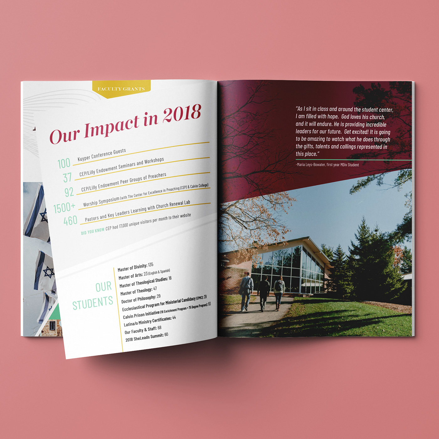 annual report branding  brochures identity guide marketing  