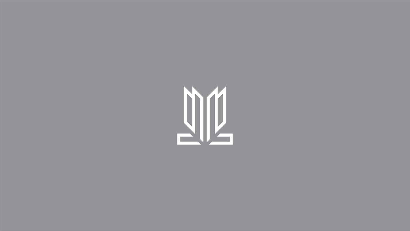 branding  graphic design  logo
