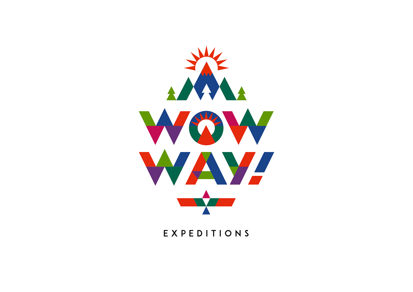 brandidentity branding  design expedition identity logo Logotype naming Russia Travel