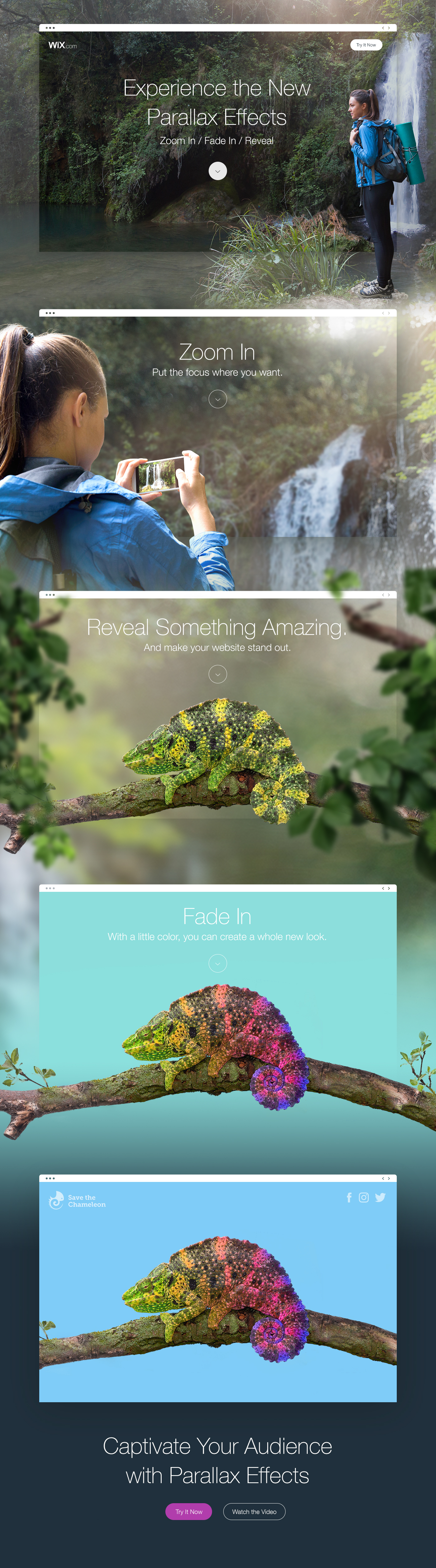 parallax chameleon Nature landing page color zoom Fade Tree  waterfall Hiker