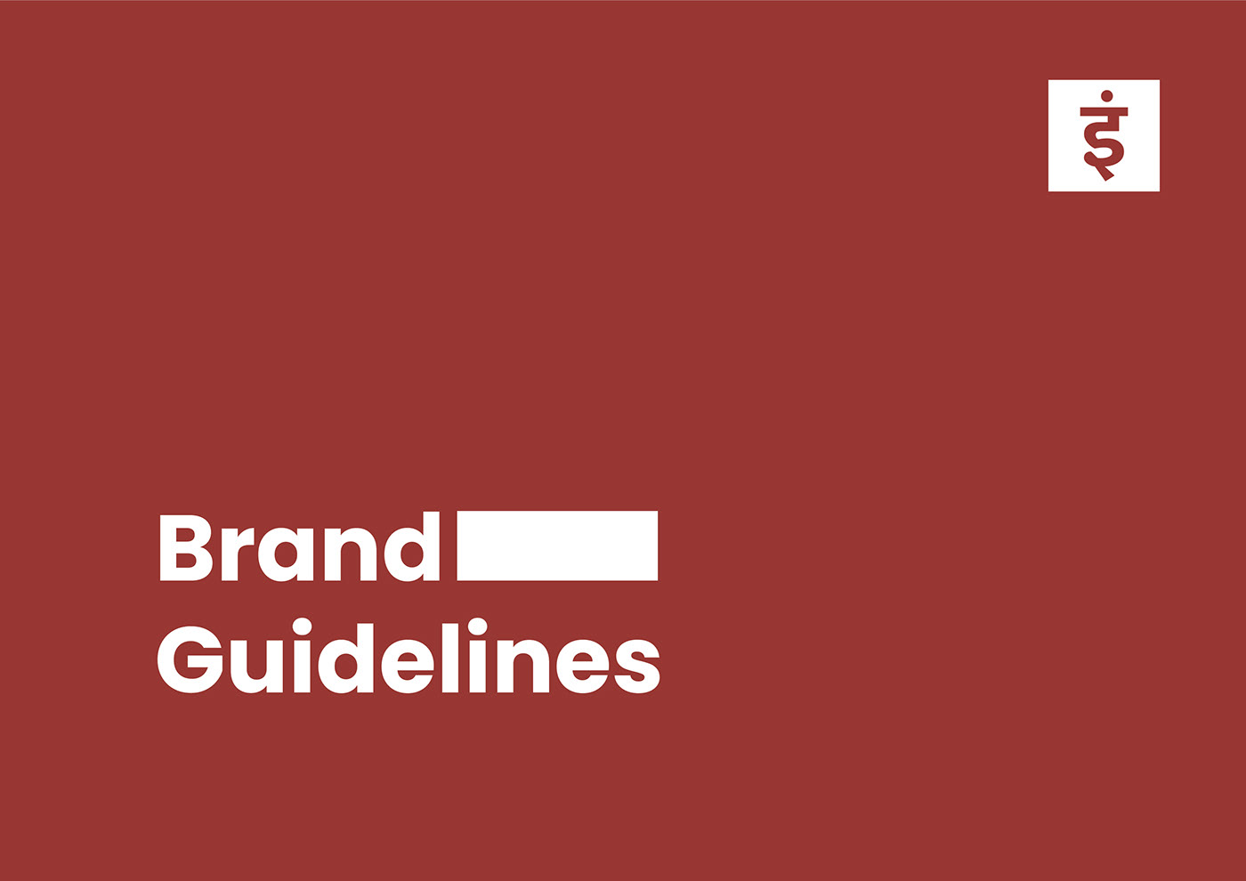 Brand Design brand guidelines brand identity Brand Language branding  Corporate Design guidelines identity Identity Design visual identity