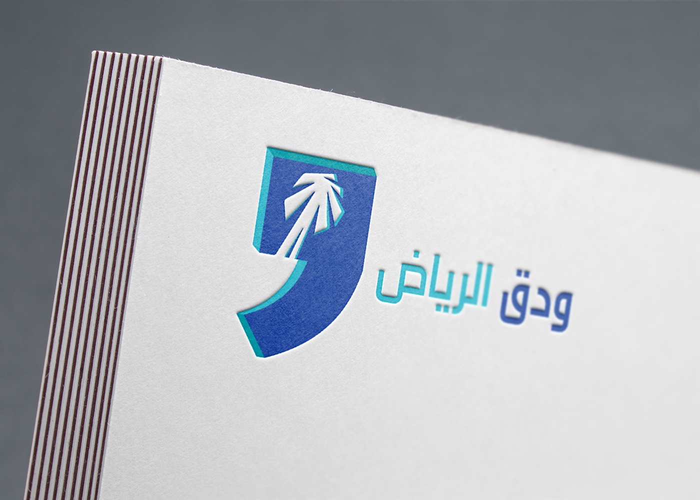 branding  logo riyadh company identity blue SKY palm arabic language
