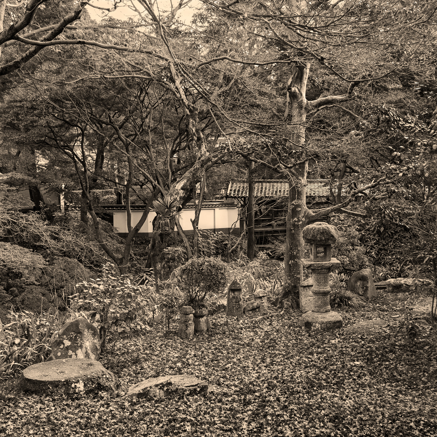 #albumen #alternative #architecture #brown #digitalnegative #garden #japan #kyoto #temple #zen