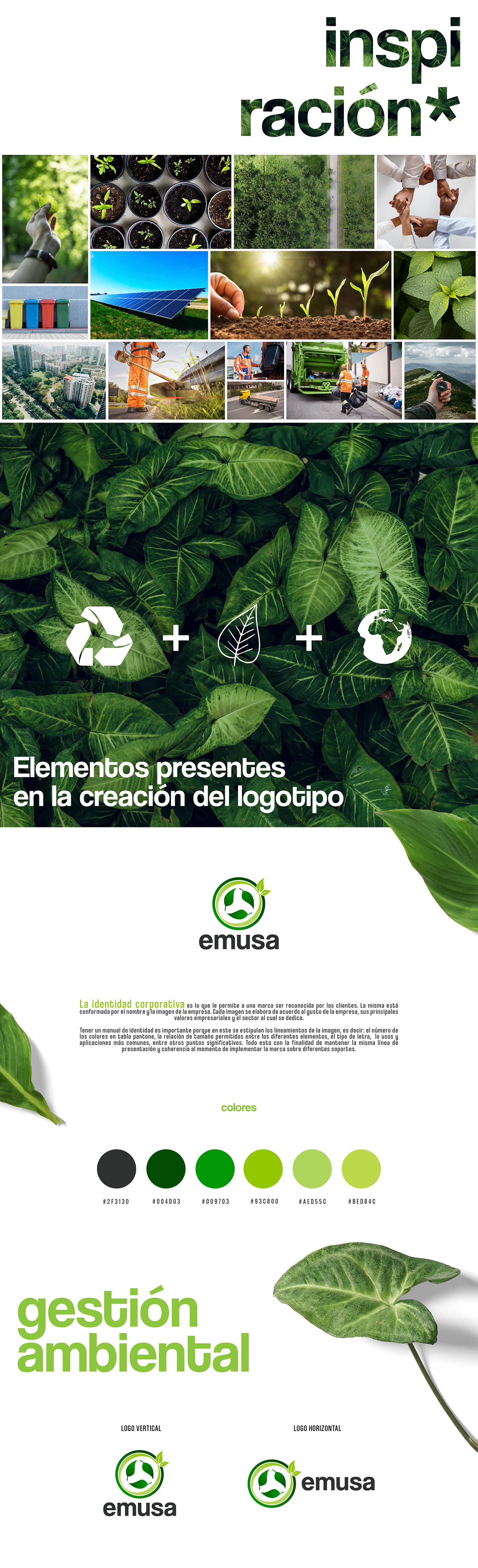 brandbook chile diseño empresa medioambiente sustentabilidad Vida