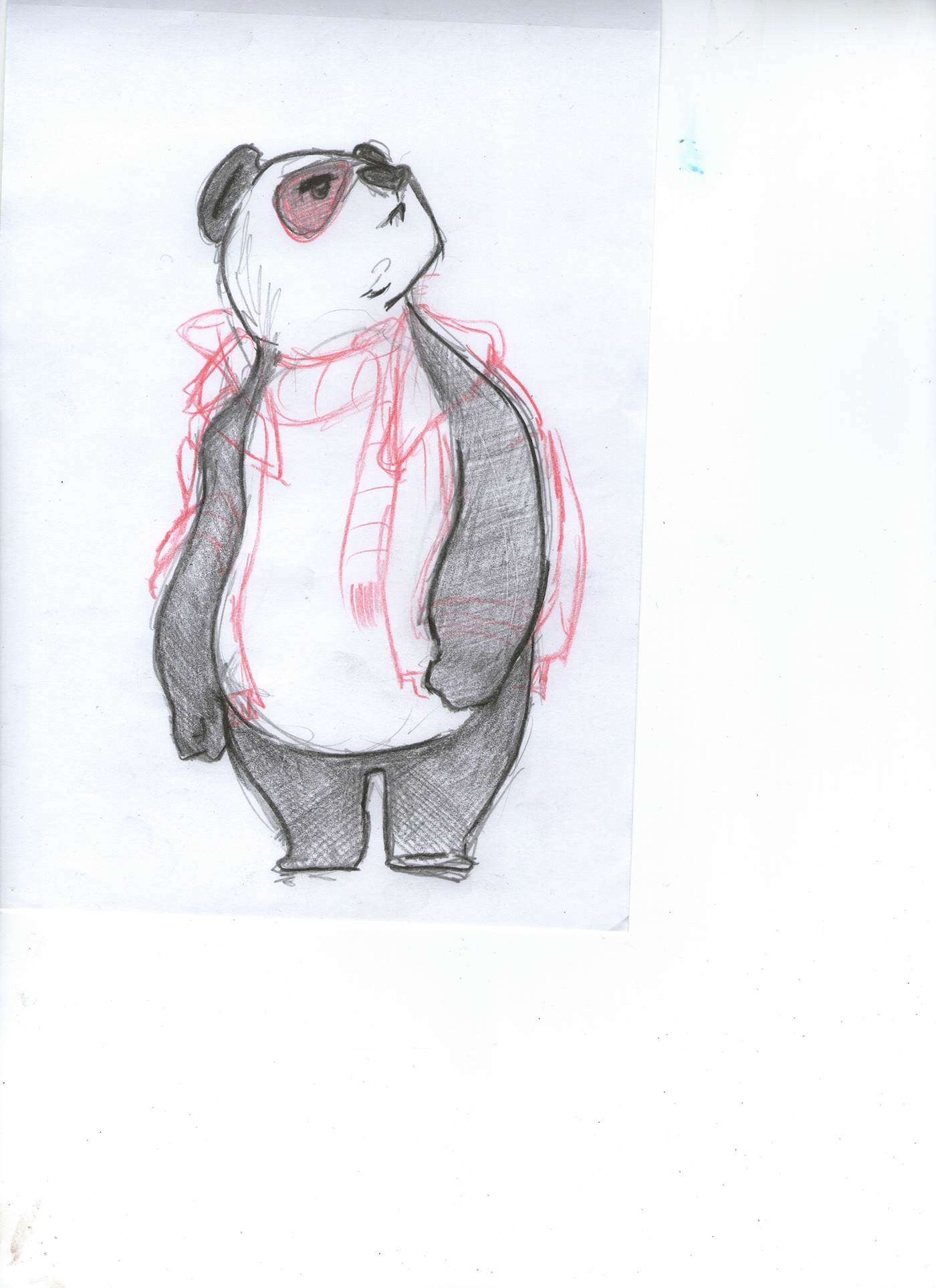animal character Character Character design  diseño de personajes editorial design  ILLUSTRATION  Panda  personaje