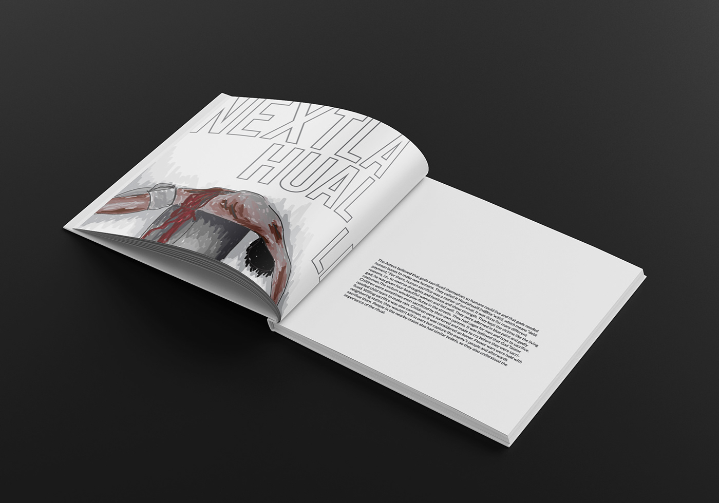 book design book ILLUSTRATION  graphic design  designer adobe illustrator booklayout Layout InDesign book cover