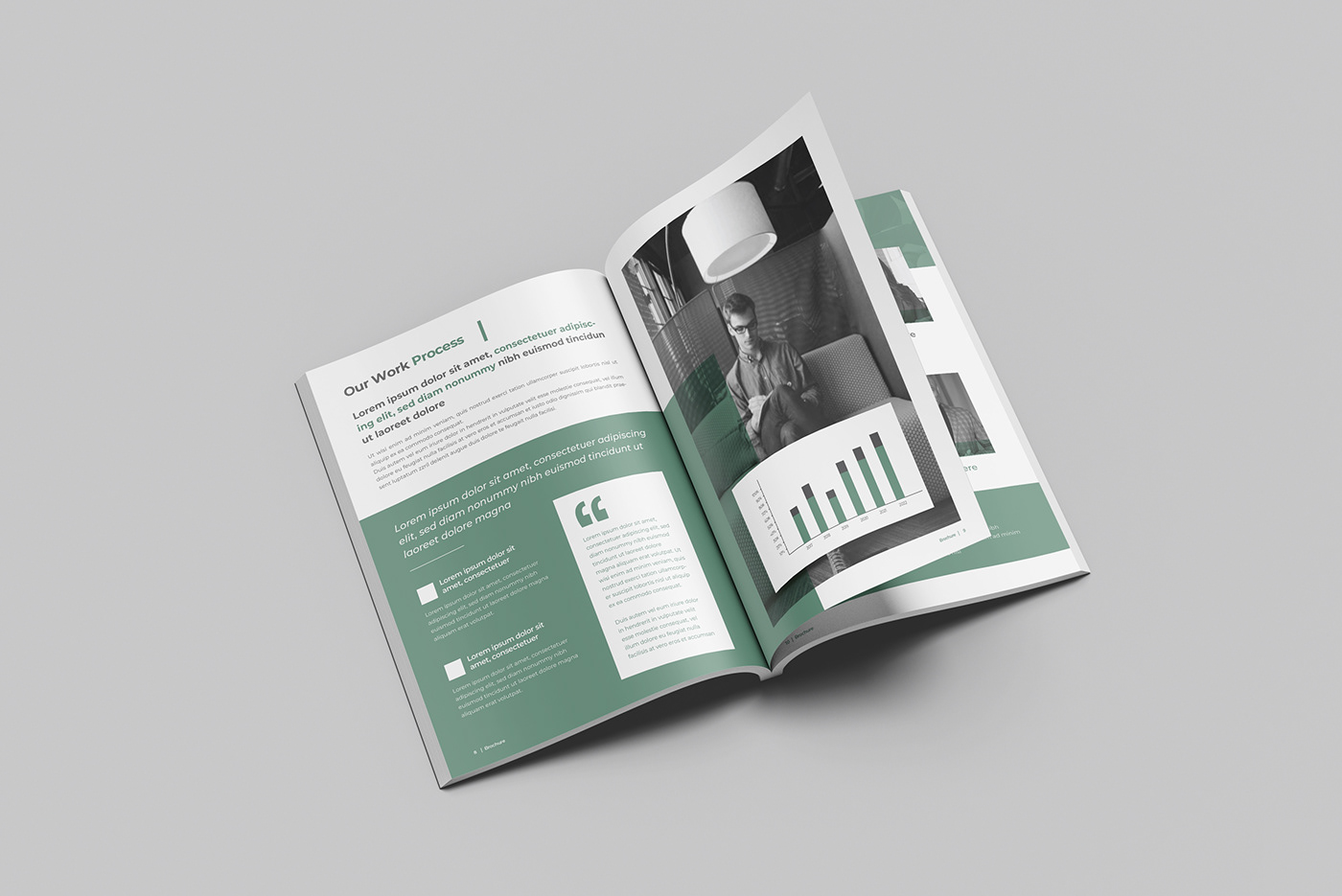 Annual Report layout book, brochure, brochure design, flyer, InDesign, Layout, magazine, typography,