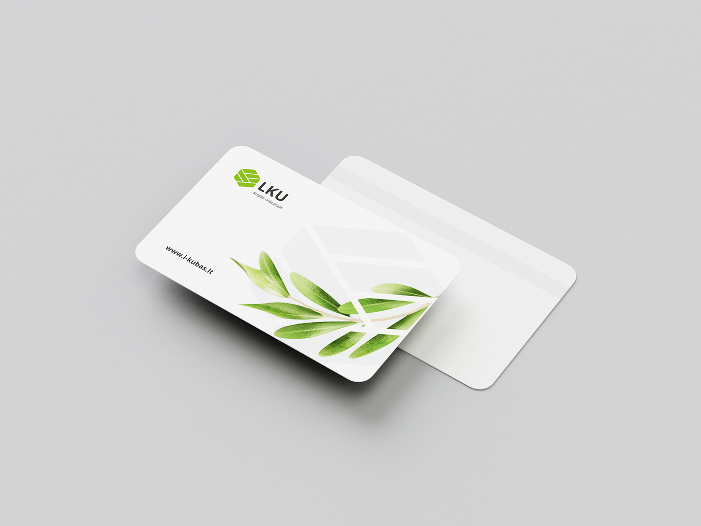 design Graphic Designer brand identity credit card Bank finance business card aliuslt levinskas