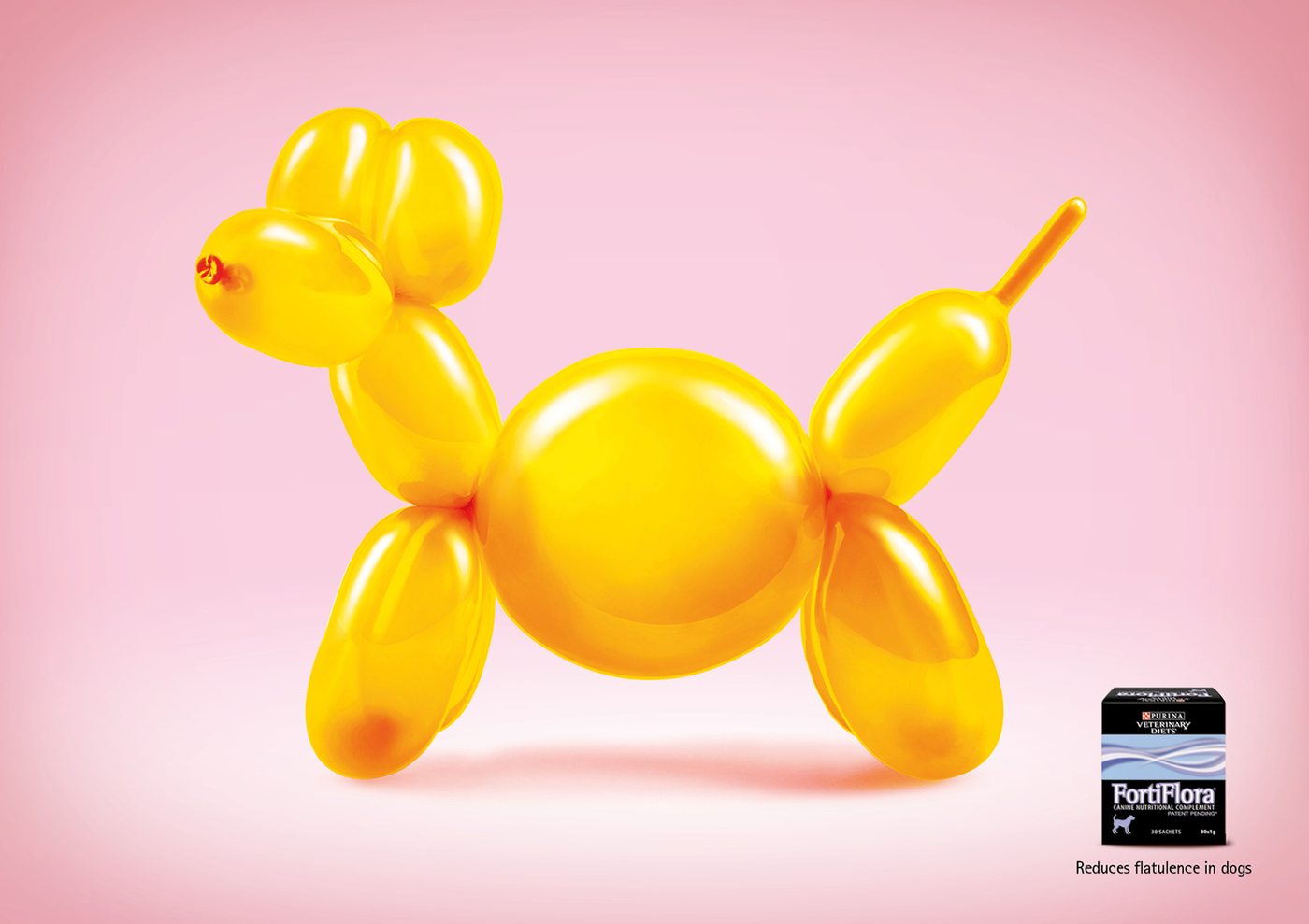 nestle Purina dog balloon print Advertising  Y&R Young rubicam swiss