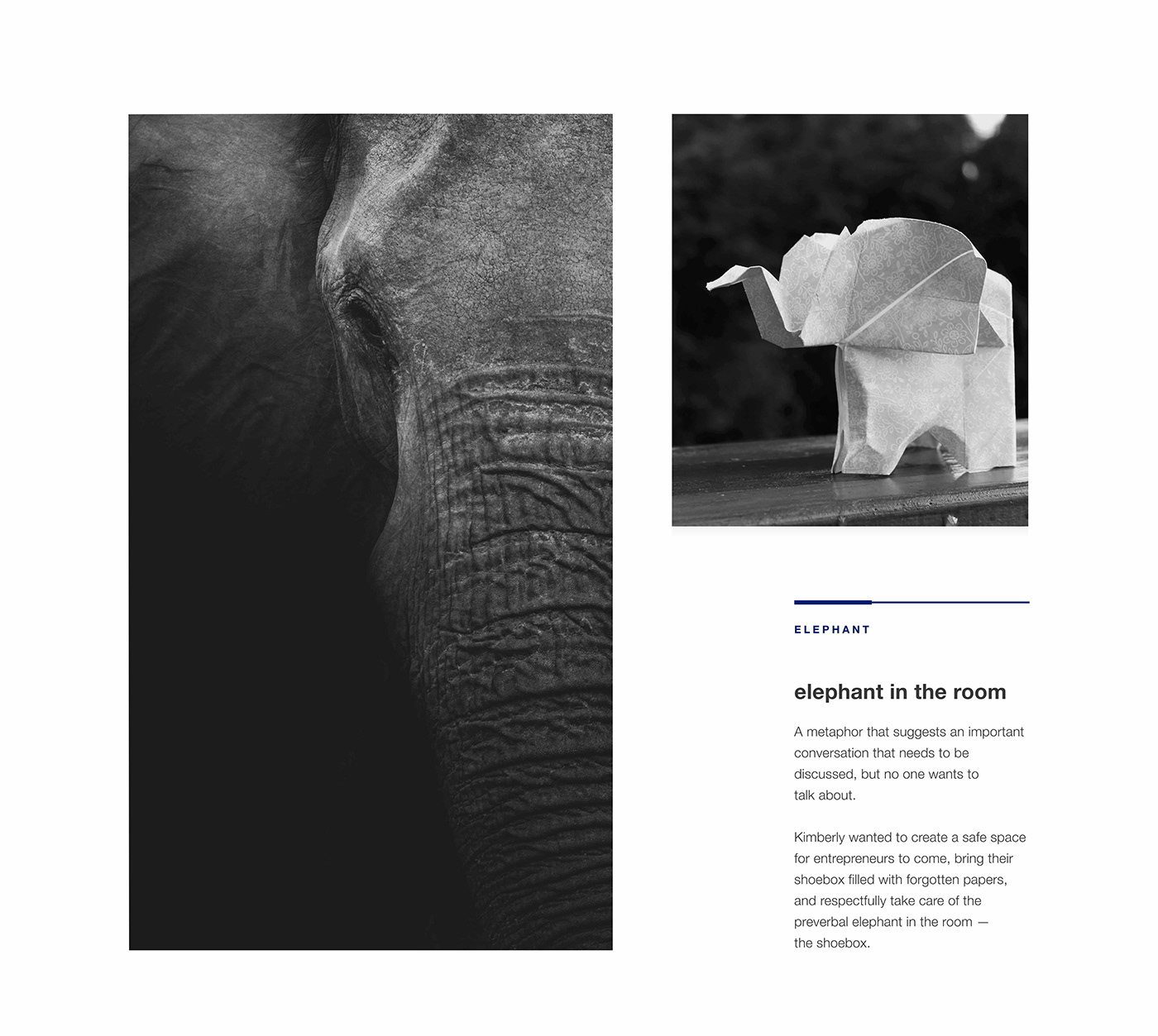Images of a real elephant and elephant made from paper to inspire the design behind the logo.
